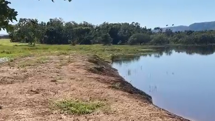 Vendo Fazenda de 280 Alqueires- Vila Boa-GO (33)
