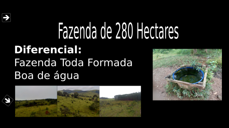 Vendo Fazenda de 280 Hectares- Medeiros-MG c2