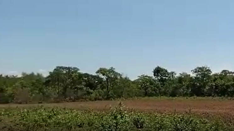 Vendo Fazenda de 285 Alqueires- Formosa-GO (36)