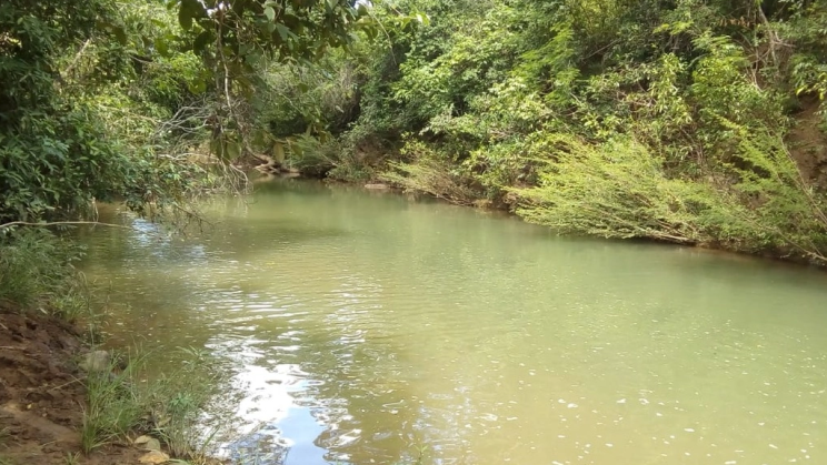 Vendo Fazenda de 2943 Hectares- São João da Aliança-GO (13)