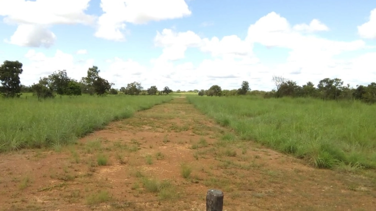 Vendo Fazenda de 2943 Hectares- São João da Aliança-GO (6)