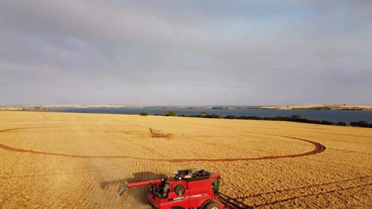 Vendo Fazenda de 330 hectares Município de Patrocínio-MG (7)