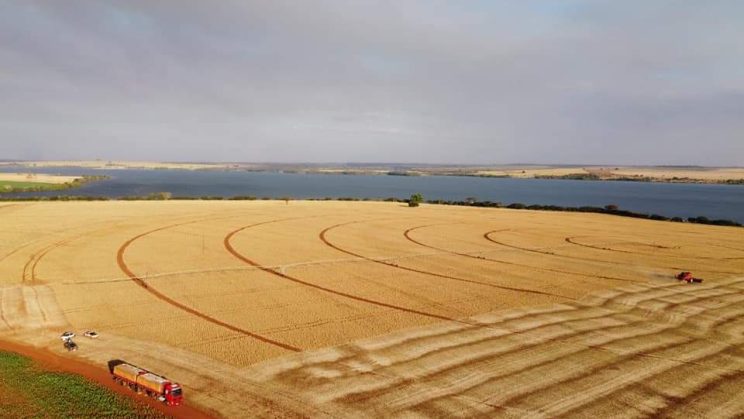 Vendo Fazenda de 330 hectares Município de Patrocínio-MG (9)