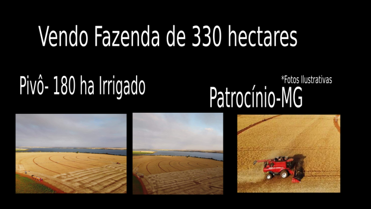 Vendo Fazenda de 330 hectares Município de Patrocínio-MG c1 (3)