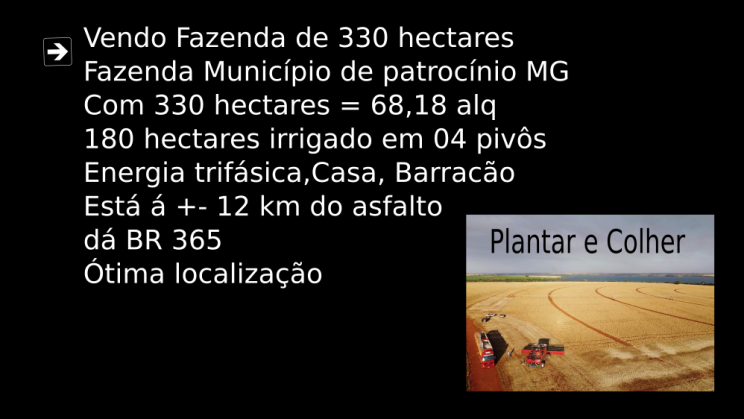 Vendo Fazenda de 330 hectares Município de Patrocínio-MG c1 (7)