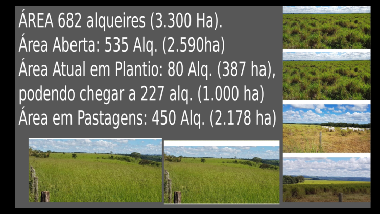 Vendo Fazenda de 3300 Hectares- Abadiânia-GO (12)