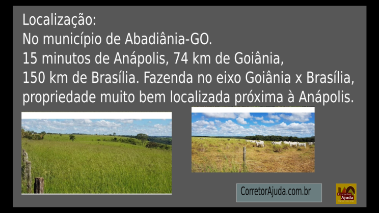 Vendo Fazenda de 3300 Hectares- Abadiânia-GO (13)