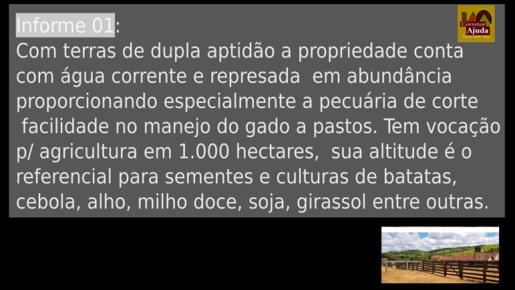 Vendo Fazenda de 3300 Hectares- Abadiânia-GO (14)
