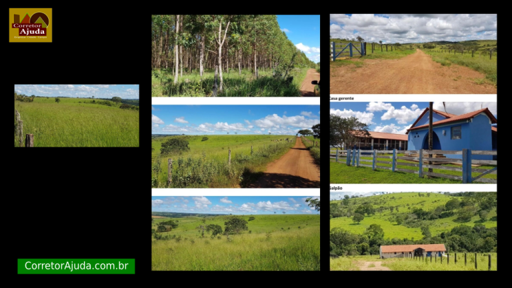 Vendo Fazenda de 3300 Hectares- Abadiânia-GO (3)