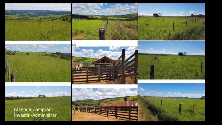 Vendo Fazenda de 3300 Hectares- Abadiânia-GO (5)