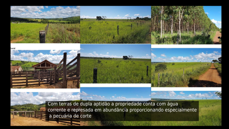Vendo Fazenda de 3300 Hectares- Abadiânia-GO (7)