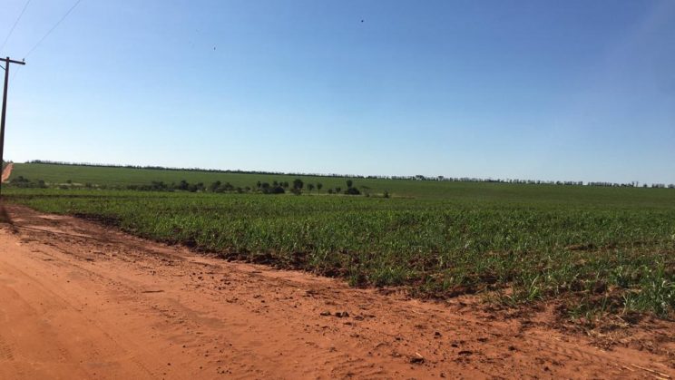 Vendo Fazenda de 350 Alqueires Região de Barretos-SP (1)