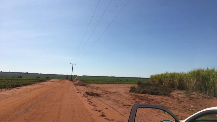 Vendo Fazenda de 350 Alqueires Região de Barretos-SP (2)