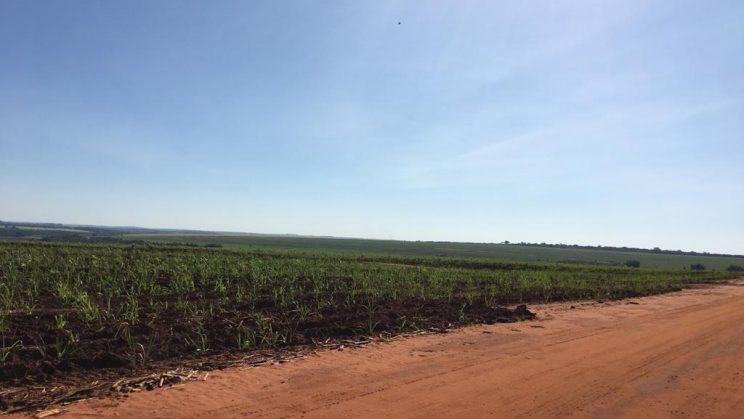 Vendo Fazenda de 350 Alqueires Região de Barretos-SP (3)