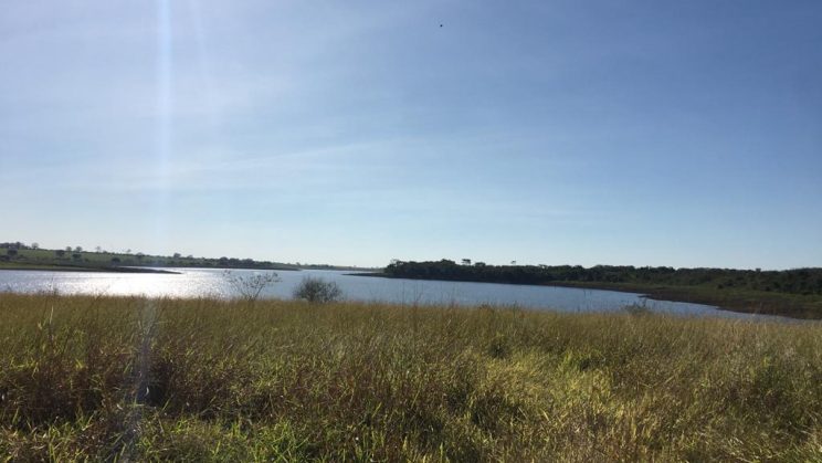 Vendo Fazenda de 350 Alqueires Região de Barretos-SP (4)