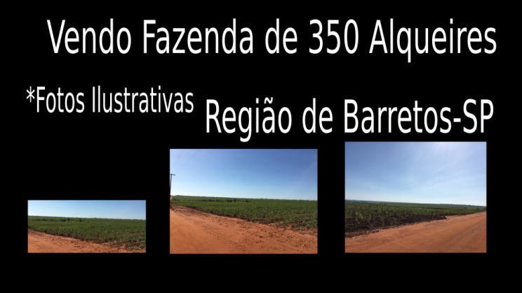 Vendo Fazenda de 350 Alqueires Região de Barretos-SPc01