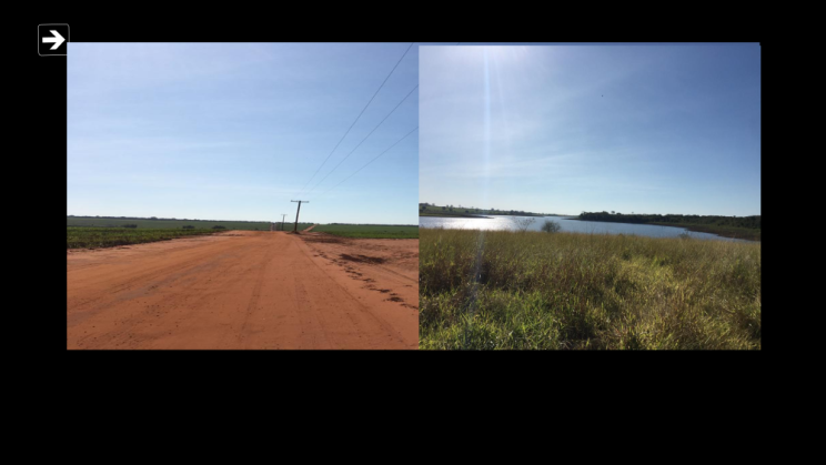 Vendo Fazenda de 350 Alqueires Região de Barretos-SPc06