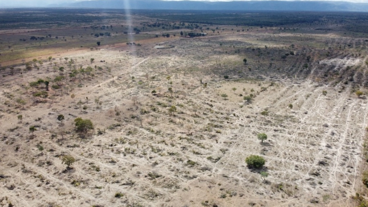 Vendo Fazenda de 3630 Hectares-Flores-GO (15)