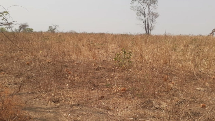 Vendo Fazenda de 3630 Hectares-Flores-GO (19)