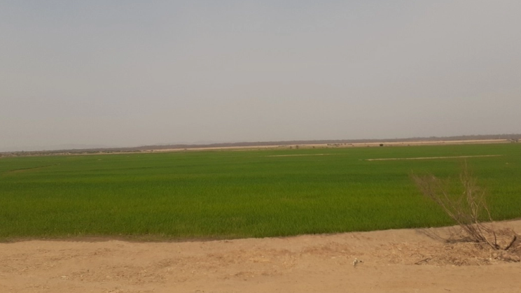 Vendo Fazenda de 3630 Hectares-Flores-GO (41)