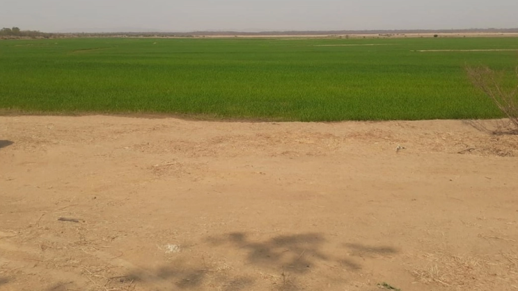 Vendo Fazenda de 3630 Hectares-Flores-GO (42)