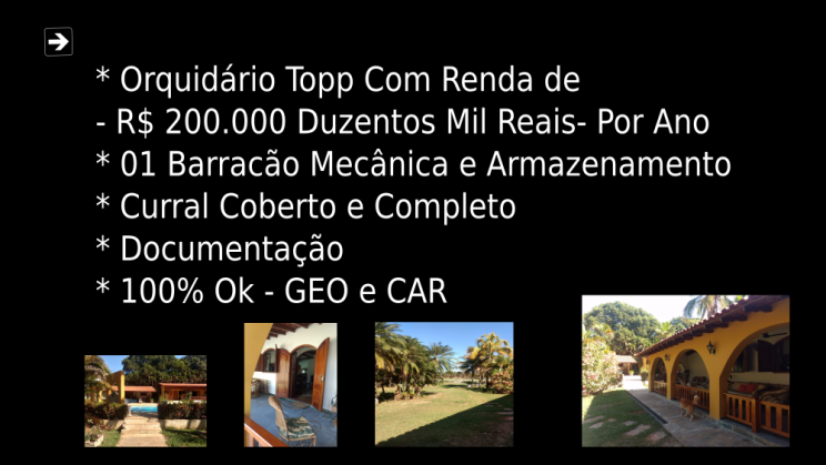 Vendo Fazenda de 382 Hectares- Olímpia -SP c7