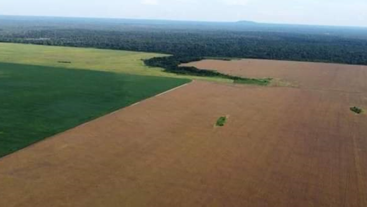 Vendo Fazenda de 39000 Hectares -Mato Grosso- Brasil (8)