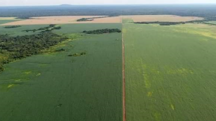 Vendo Fazenda de 39000 Hectares -Mato Grosso- Brasil (9)