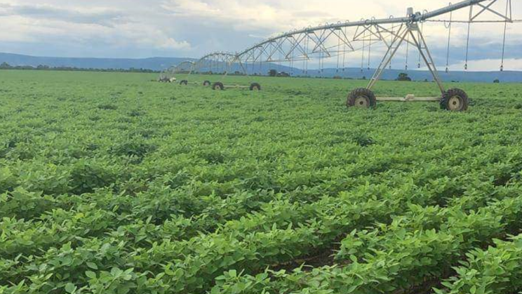 Vendo Fazenda de 401720 Hectares- Tocantins- Brasil (7)