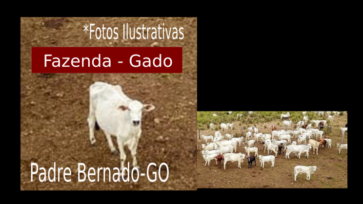 Vendo Fazenda de 410 Alqueires -Padre Bernado-GO C02