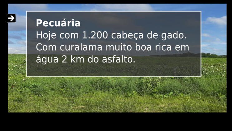 Vendo Fazenda de 410 Alqueires -Padre Bernado-GO C04