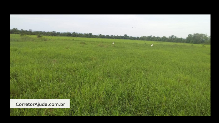 Vendo Fazenda de 410 Alqueires -Padre Bernado-GO C08