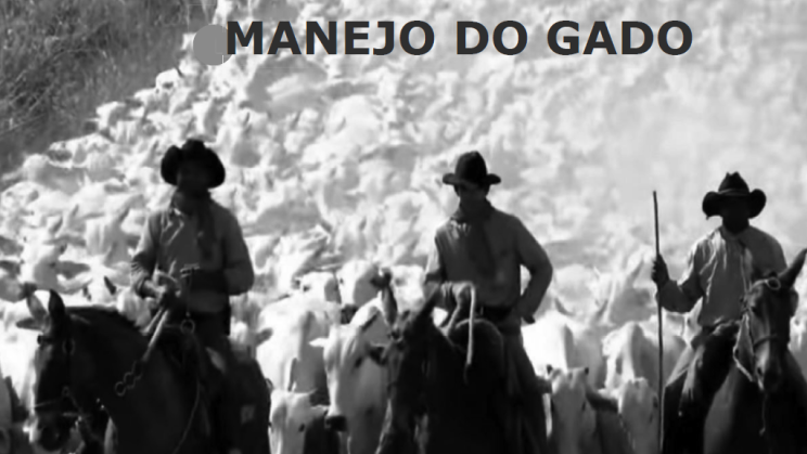 Vendo Fazenda de 427000 Hectares - Pará (46)