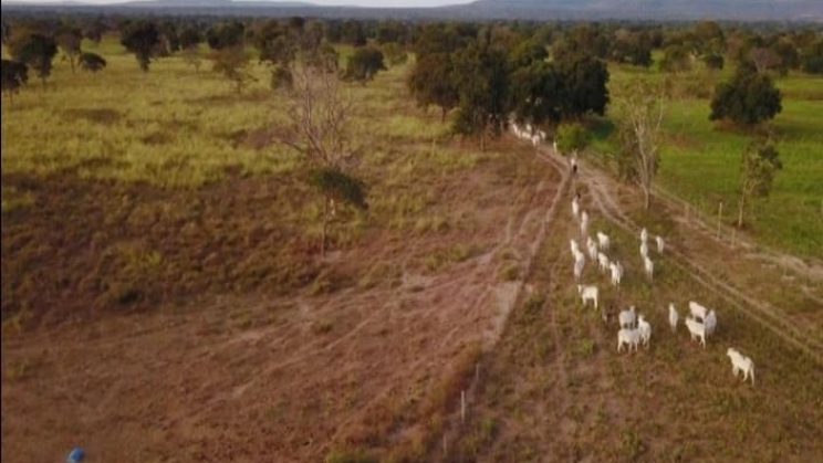Vendo Fazenda de 4800 Hectares- Buritizeiros-MG 02