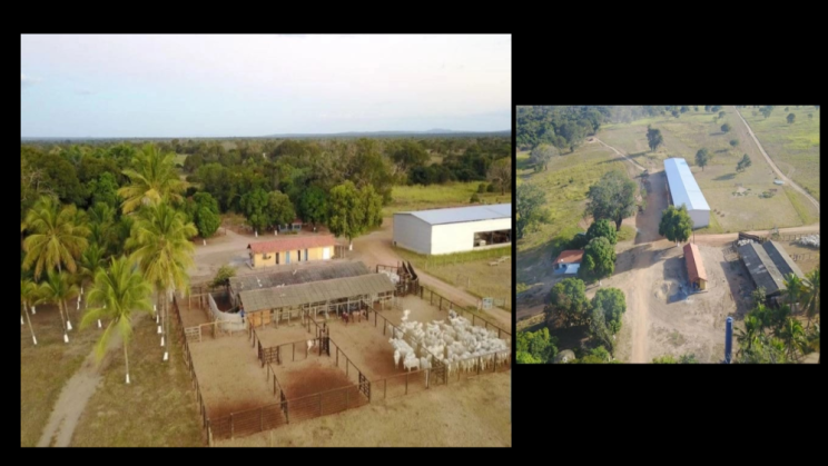 Vendo Fazenda de 4800 Hectares- Buritizeiros-MG 03