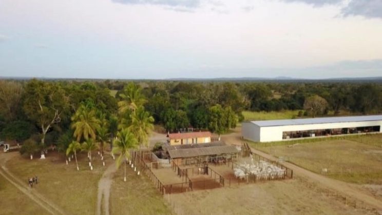 Vendo Fazenda de 4800 Hectares- Buritizeiros-MG 04