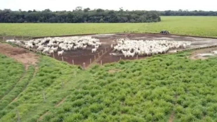 Vendo Fazenda de 5050 Hectares- Porto dos Gauchos-MT (11)