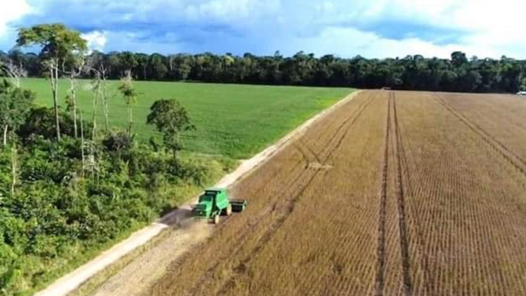Vendo Fazenda de 5050 Hectares- Porto dos Gauchos-MT (15)