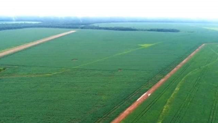 Vendo Fazenda de 5050 Hectares- Porto dos Gauchos-MT (9)
