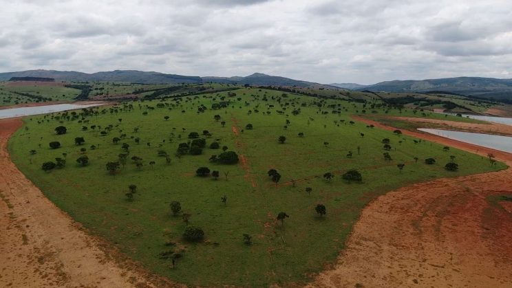 Vendo Fazenda de 520 Hectares- Capitólio-MG 013