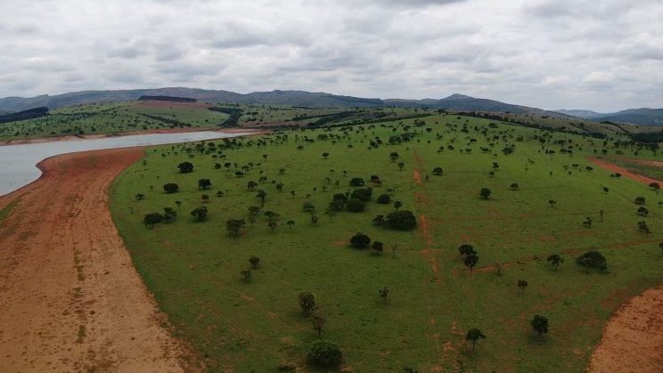 Vendo Fazenda de 520 Hectares- Capitólio-MG 02