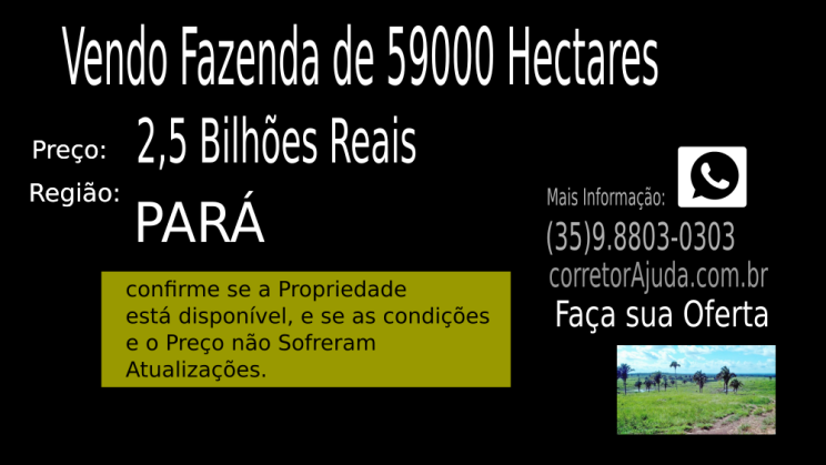 Vendo Fazenda de 59000 Hectares- Melhor Fazenda da Região- Paraíso do Sul C02