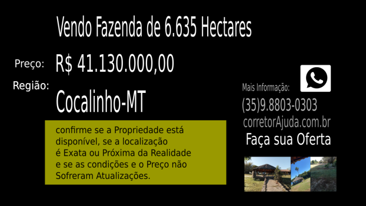 Vendo Fazenda de 6.635 Hectares- Cocalinho-MTc03