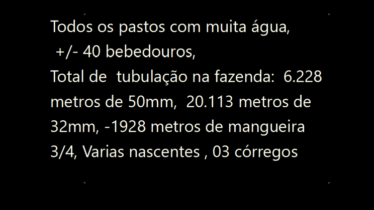 Vendo Fazenda de 6000 Hectares- Pedra Azul- MG (3)