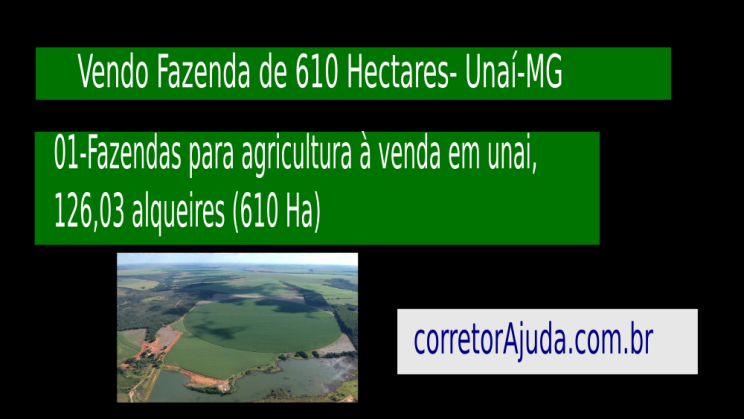 Vendo Fazenda de 610 Hectares- Unaí-MG c01