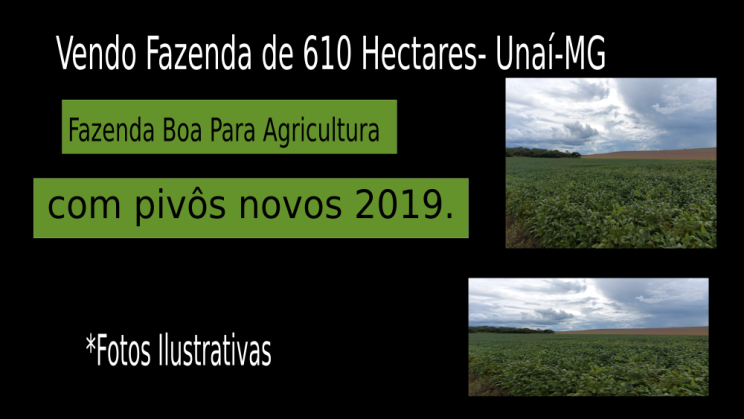 Vendo Fazenda de 610 Hectares- Unaí-MG c02