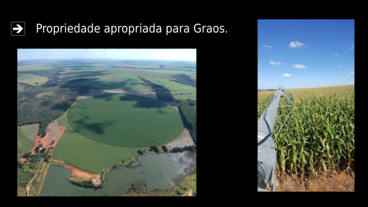 Vendo Fazenda de 610 Hectares- Unaí-MG c04
