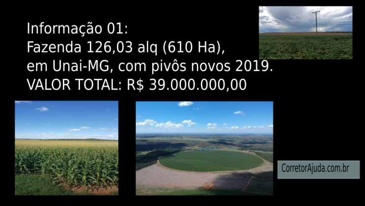Vendo Fazenda de 610 Hectares- Unaí-MG c05