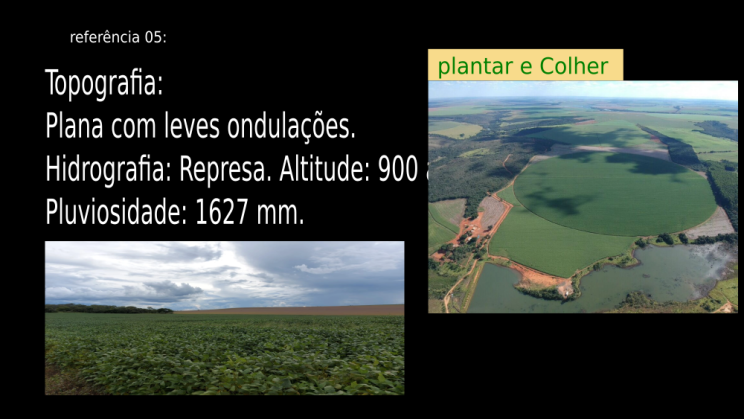Vendo Fazenda de 610 Hectares- Unaí-MG c11