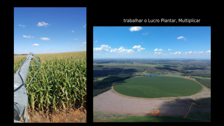 Vendo Fazenda de 610 Hectares- Unaí-MG c13